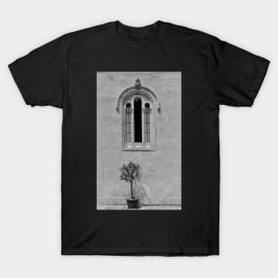 Olive Tree and Church Window T-Shirt